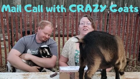 We have goats & mail & fire, Oh my!!