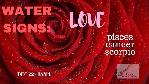 WATER SIGNS LOVE: Pisces ♓ Cancer ♋ Scorpio ♏ * Strong Medicine That Can Help You