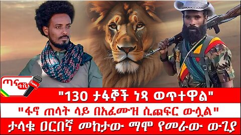 ጣና ግንባር፦ የዐርበኞች መስመር… "130 ታፋኞች ነጻ ወጥተዋል"፤ "ፋኖ ጠላት ላይ በአፈሙዝ ሲጨፍር ውሏል" ታላቁ ዐርበኛ መከታው ማሞ የመራው ውጊያ