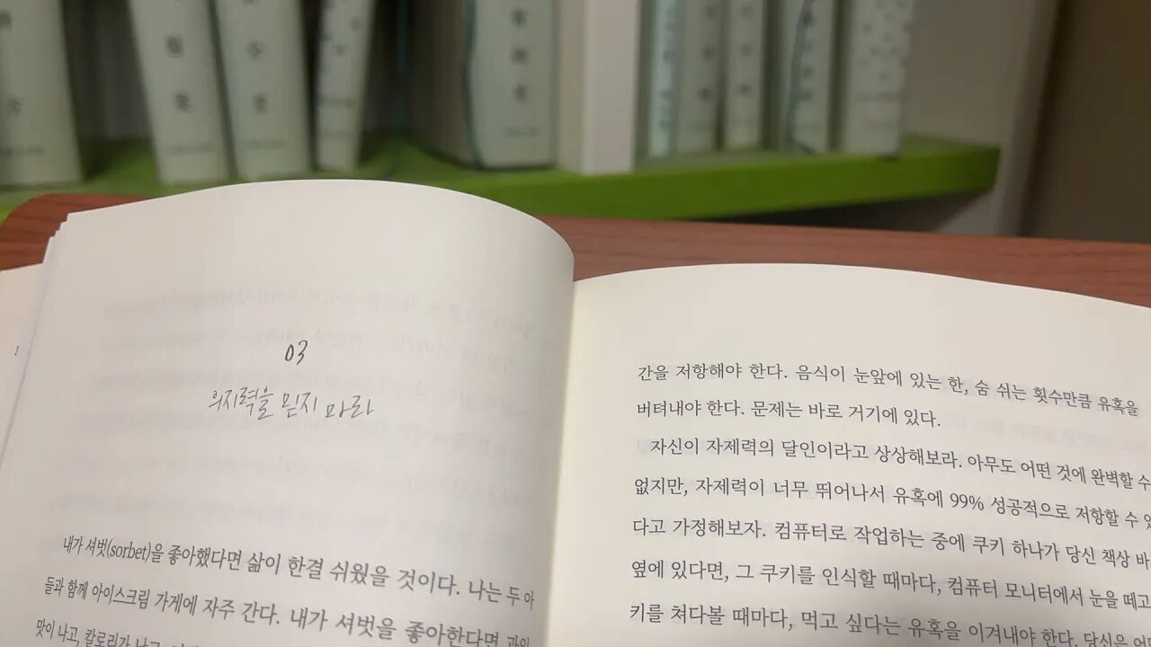 야윈 돼지의 비밀,,, 다이어트가 당신을 망친다, 트레이시 만, 의지력을 믿지마라, 유혹을 버텨내야한다, 다이어트 없이 살기