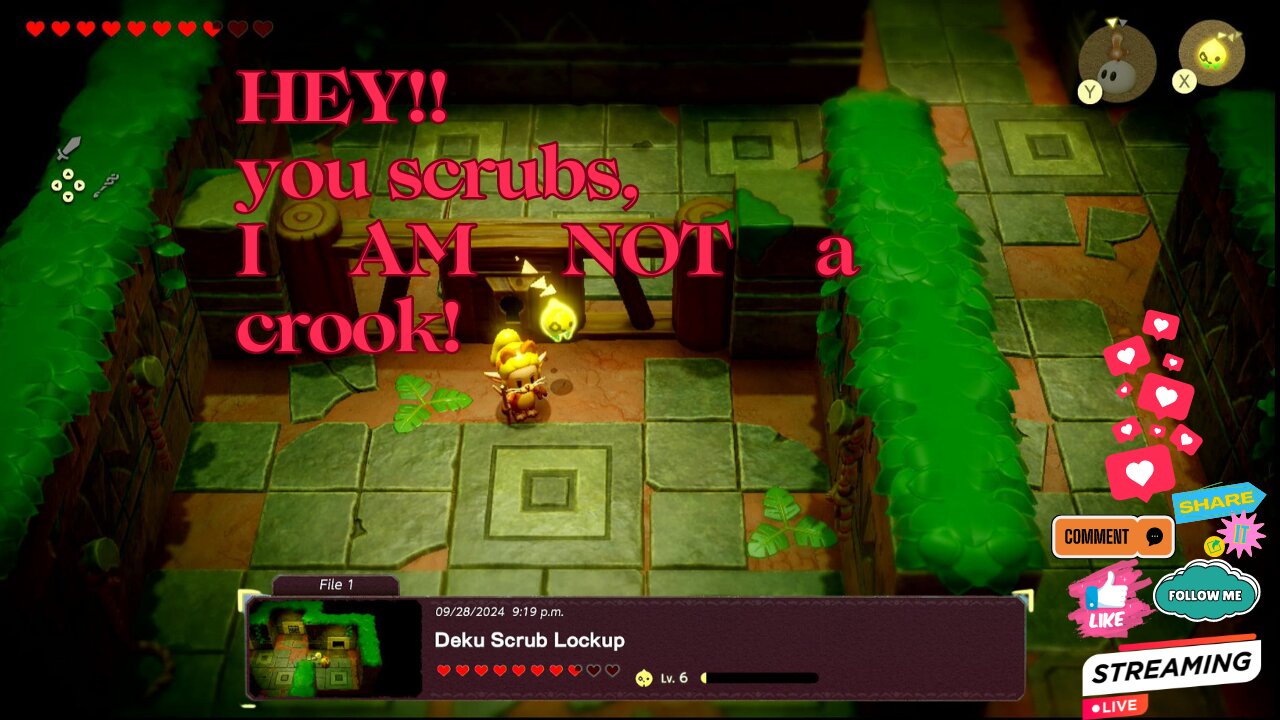 I AM NOT A CROOK... Zelda Echoes of Wisdom