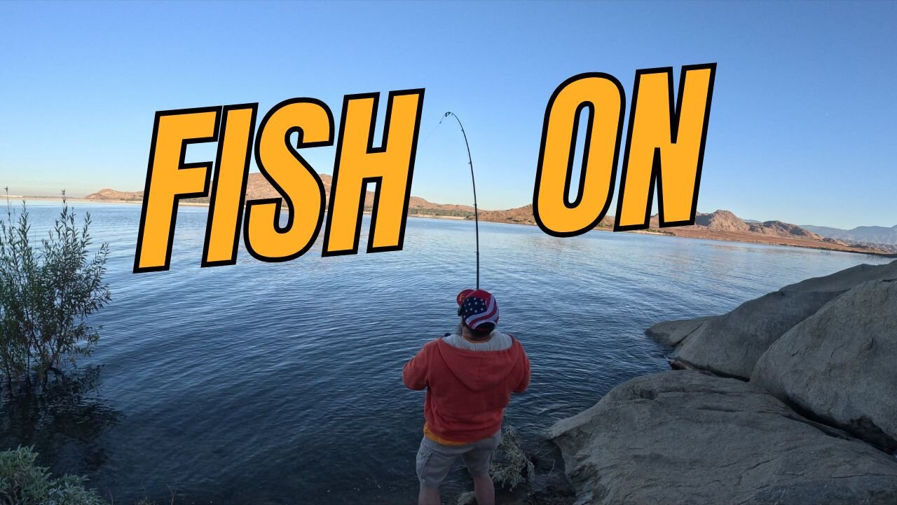 Coppernose Bluegill Fishing | Lake Perris | November Fishing Report | 🎣🐟📽️