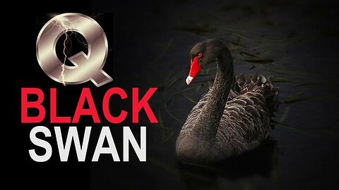 GEN FLYNN: BLACK SWAN EVENT WILL CANCEL 2024 ELECTION! 10X WORSE THAN 9/11!