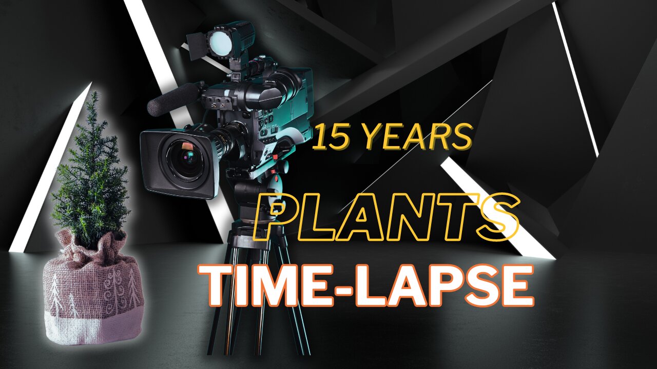 I Filmed plants for 15 years | Plants Time Lapse video #timelapse #plantlapse