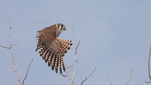 3991 Days Left For The Planet