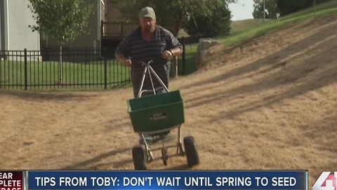 Tips from Toby: Don't wait until spring to seed