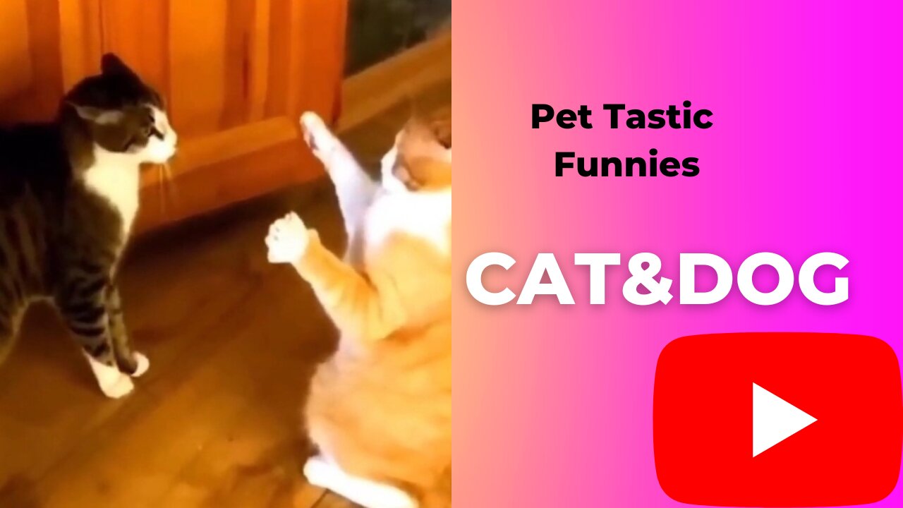 PET TASTIC FUNNIES