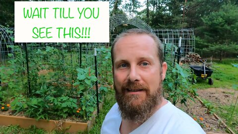 Things are Starting to TAKE SHAPE! - Update on the Garden - Homesteading in NJ
