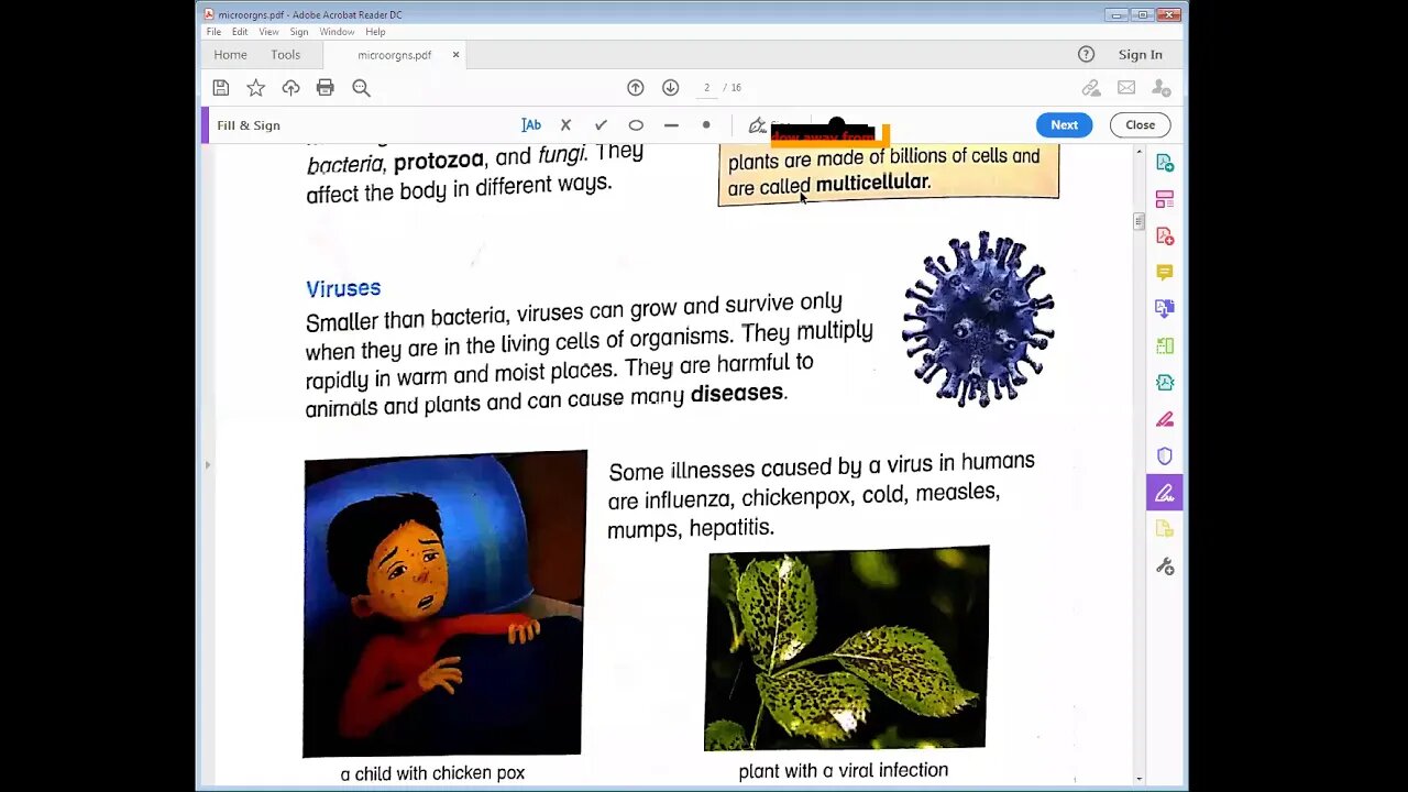 Science class 5 05 01 2021