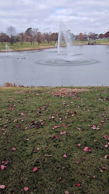 My Peaceful Place - I Find This a Little Disturbing