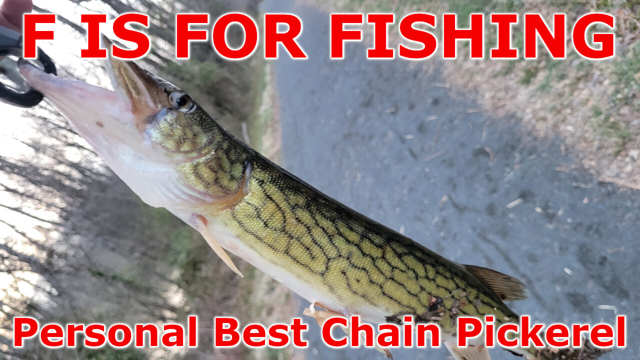 Personal Best Chain Pickerel