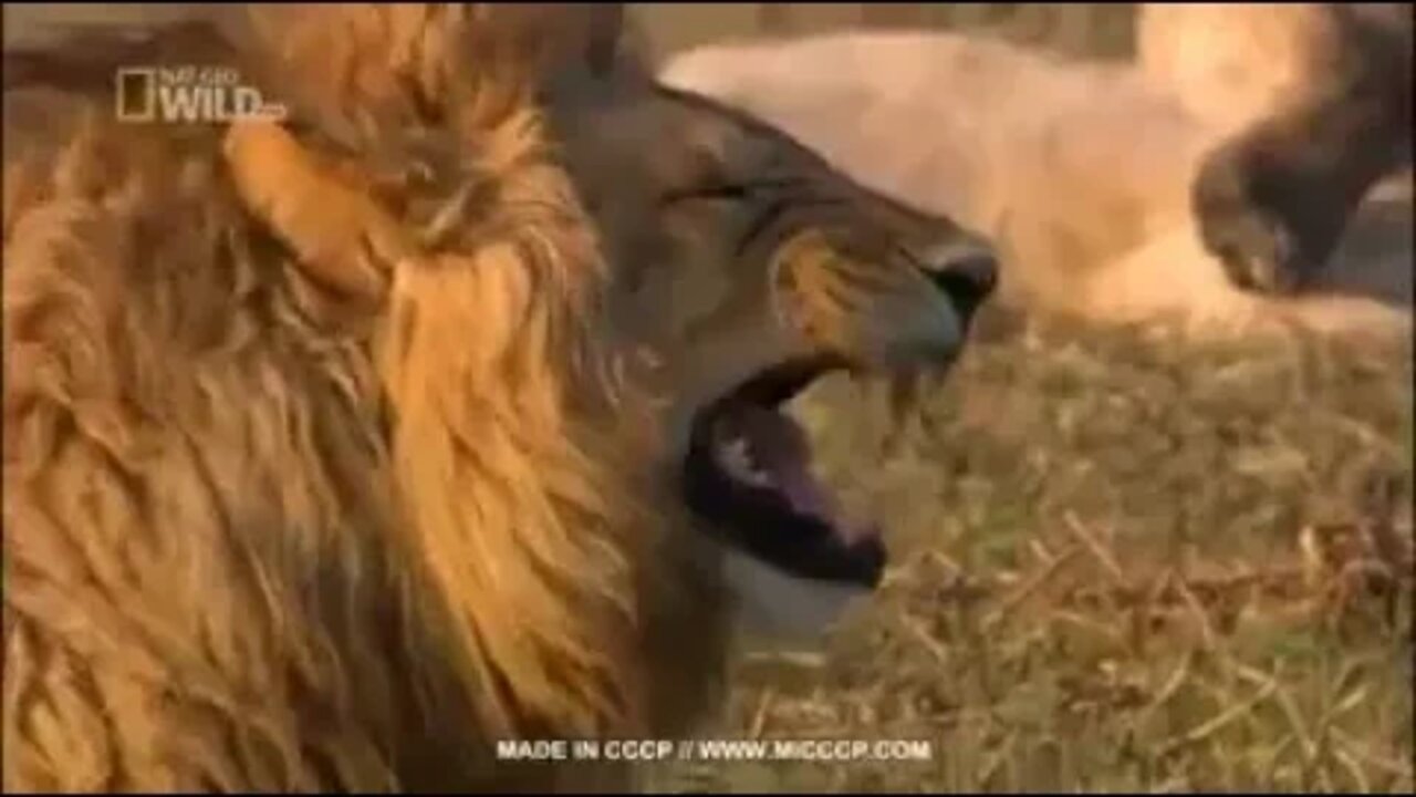 laughing 🤣🤣🤣🤣