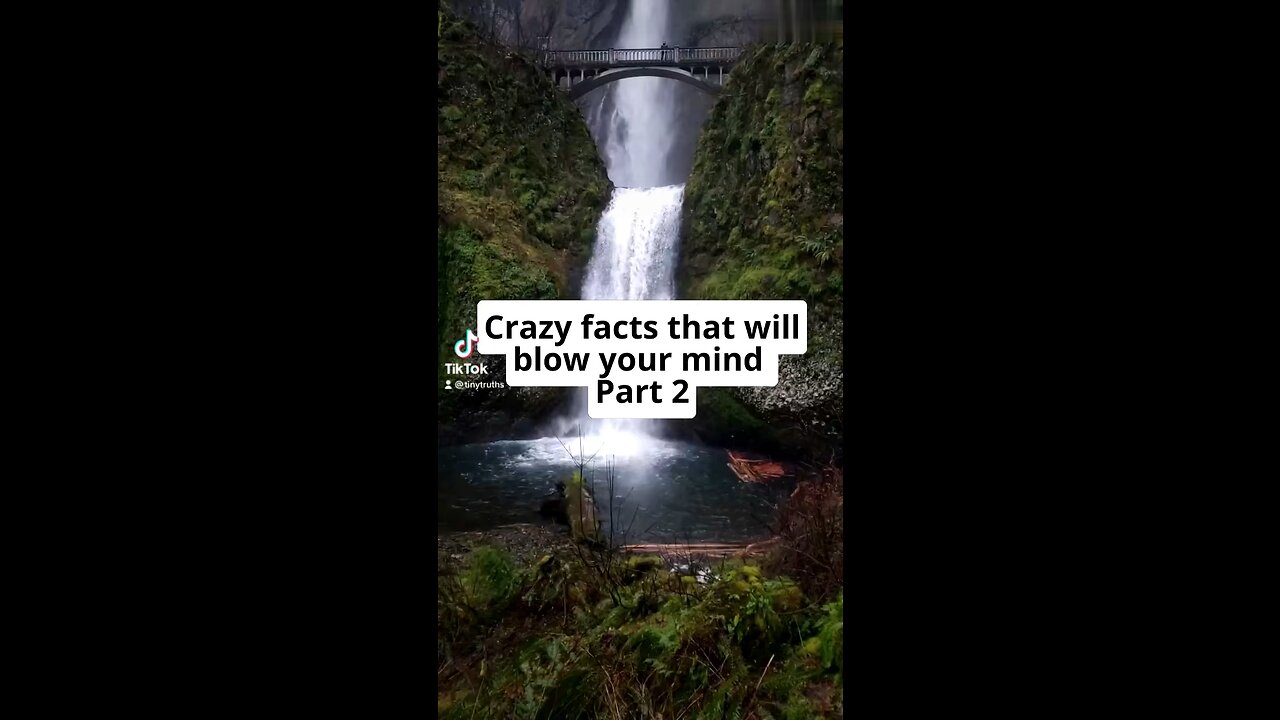 Crazy facts that will blow your mind🤯. Part 2