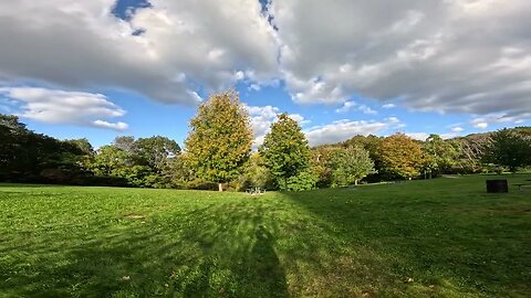 Boston 4K Fall in Franklin Park - Top Things to Do Enjoy the nature, trees, wildlife, hiking, biking