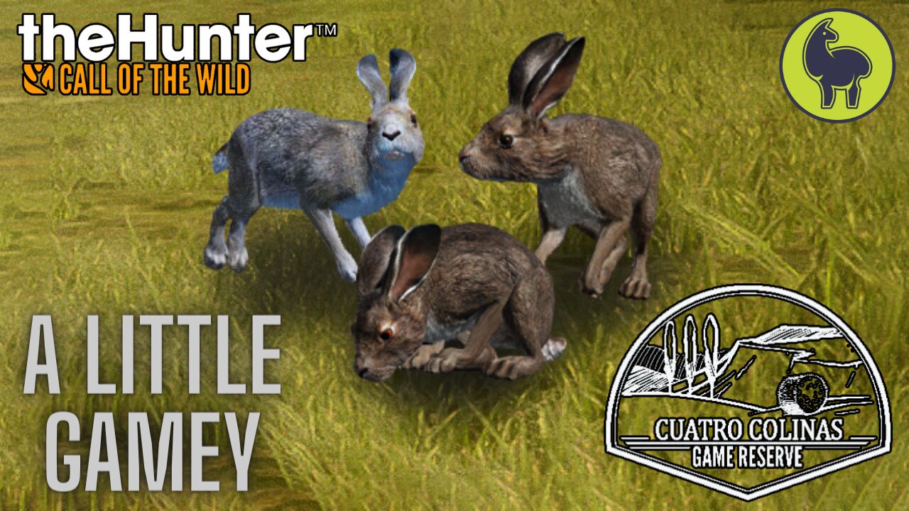 A Little Gamey, Cuatro Colinas | theHunter: Call of the Wild (PS5 4K)