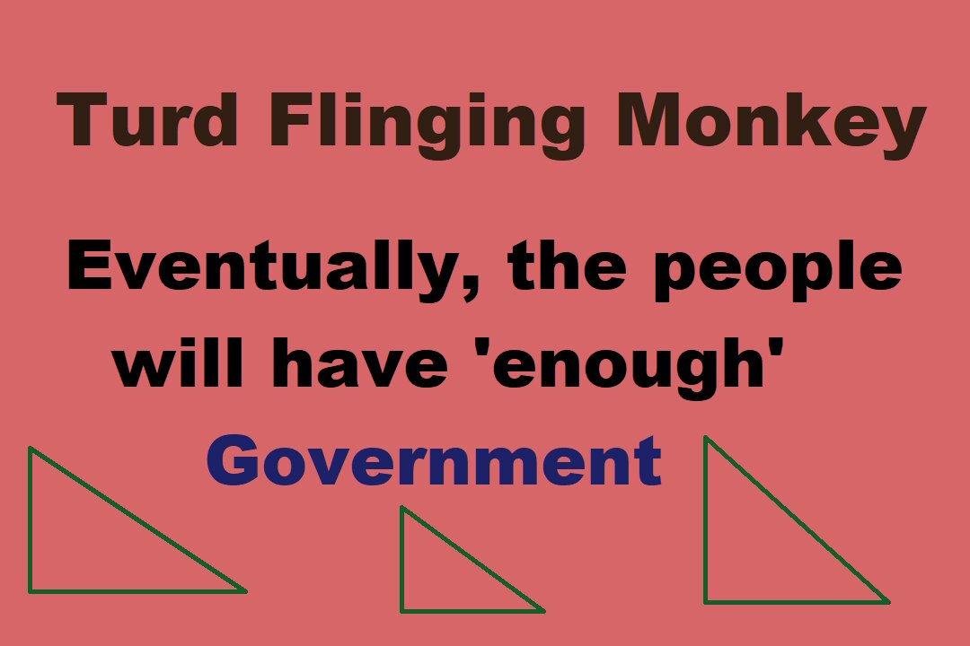 Turd Flinging Monkey wonders WHEN The People Will Finally Have ENOUGH Government