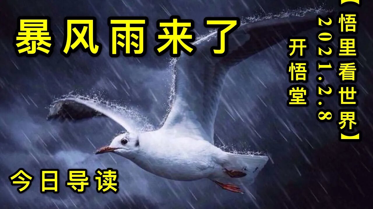 KWT1041暴风雨来了-今日导读20210208-1【悟里看世界】