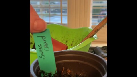 Your failures are an opportunity for growth