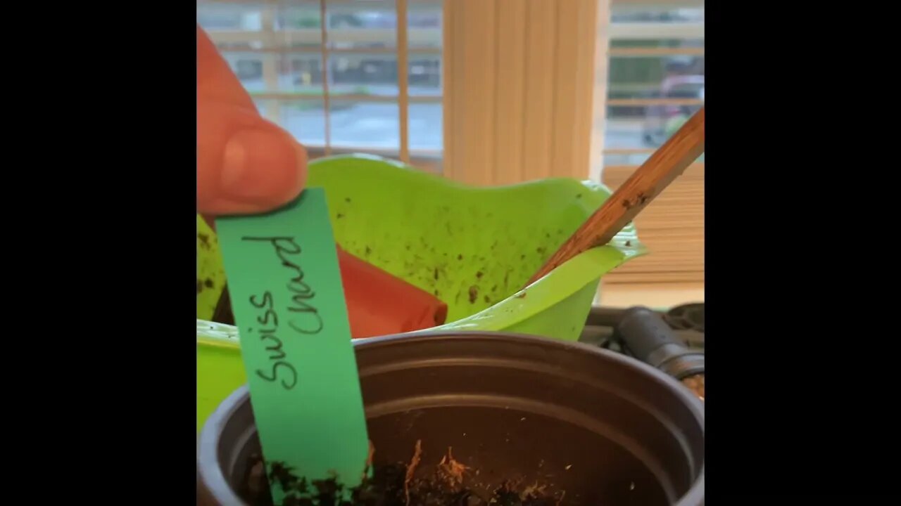 Your failures are an opportunity for growth