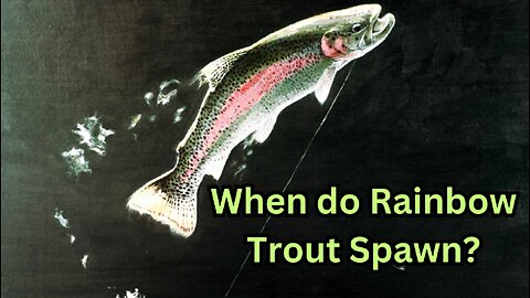 When do Rainbow Trout Spawn?