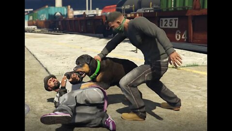 Grand Theft Auto V (Mission Chop)