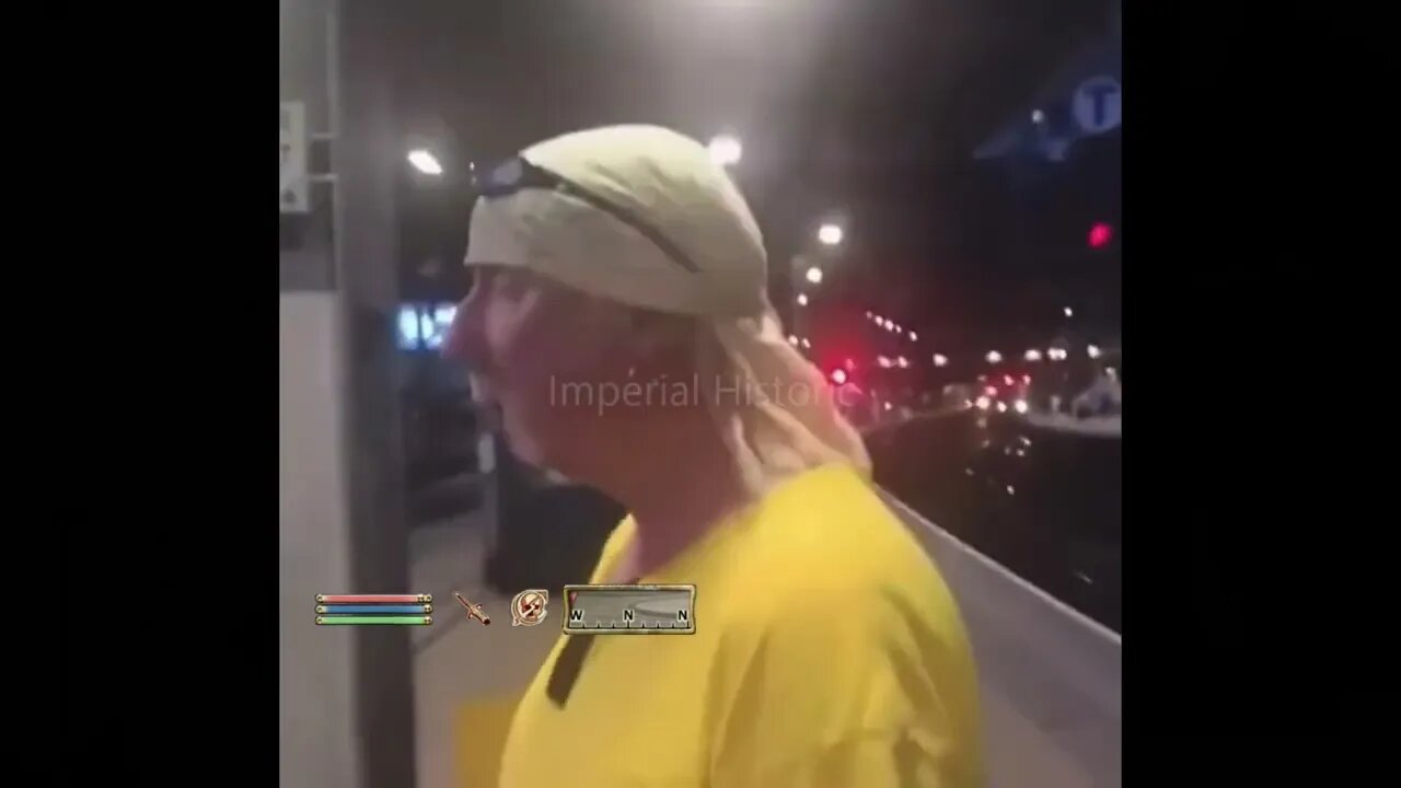 Breton Guards Fooled By Disguise - Oblivion NPC