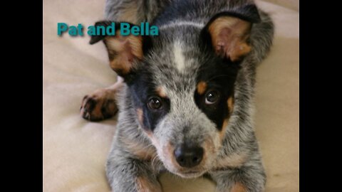 PAT AND BELLA