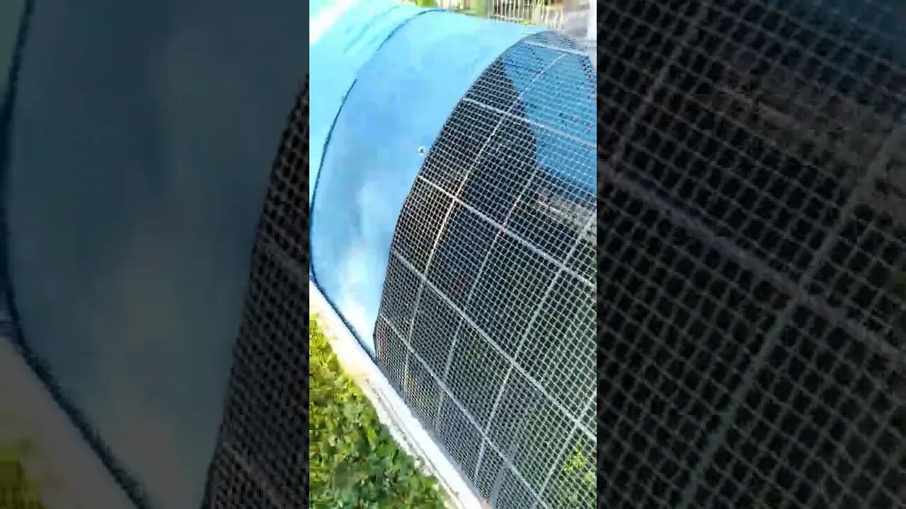 First night in the Tractor for the new babies