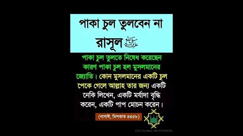 হাদিস সমুহ। জানুন। ইসলামীক শিক্ষা। আল্লাহ তাআলা মহান। OG Islamic Motivation