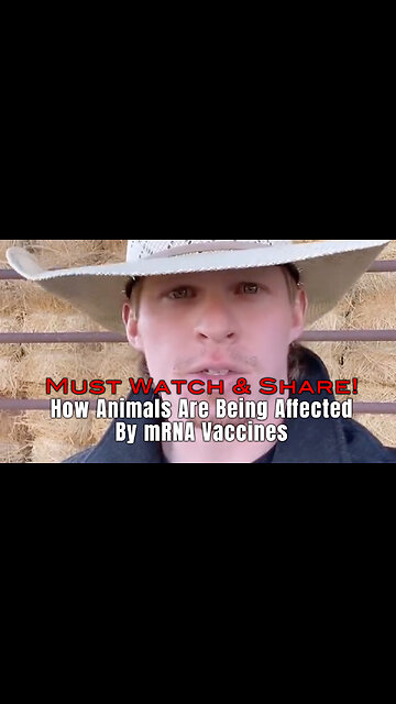 How Animals Are Being Affected By mRNA Vaccines