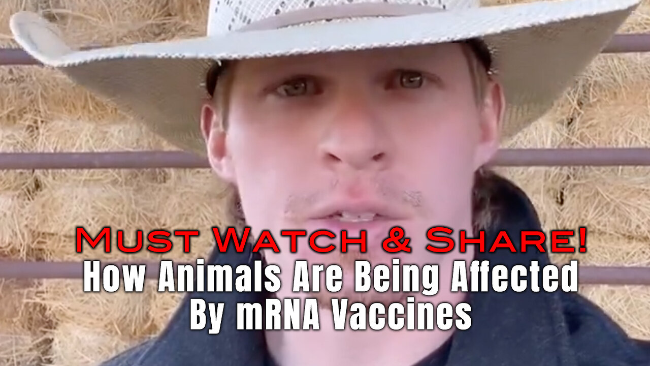 How Animals Are Being Affected By mRNA Vaccines