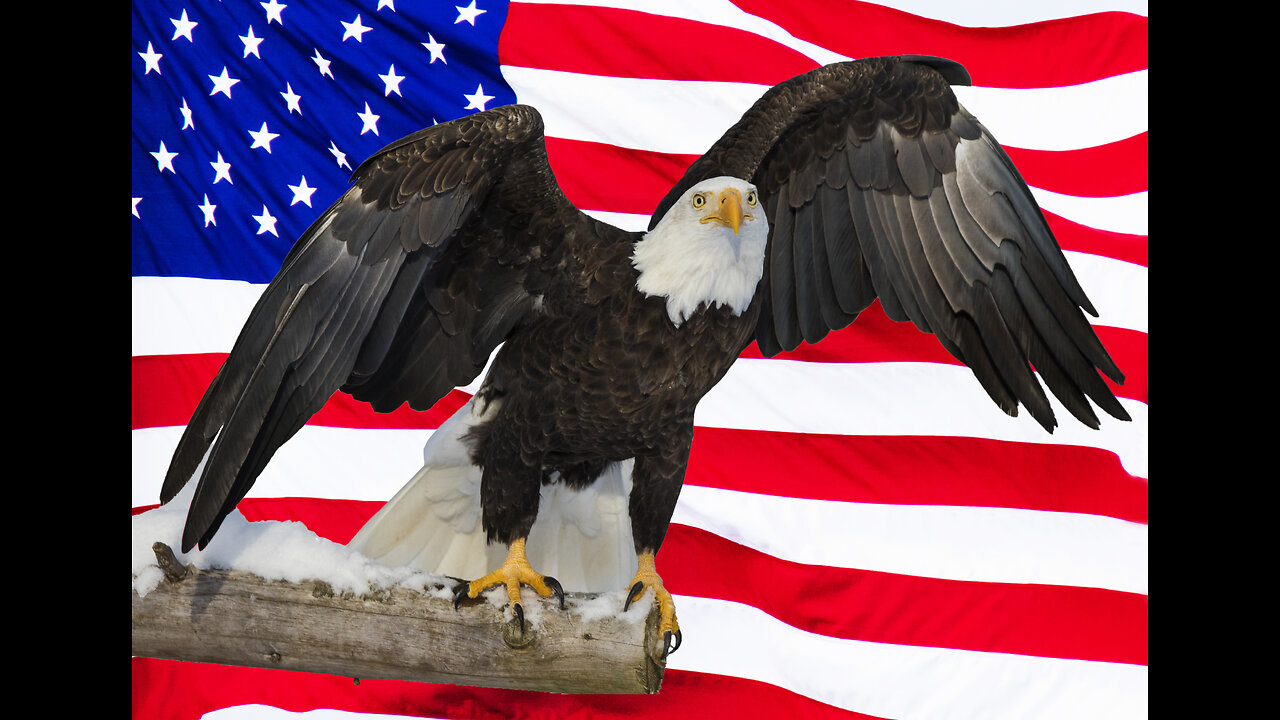 Judy Byington. SGAnon ~ Situation Update 09-01-23 ~ Benjamin Fulford - Restored Republic via a GCR