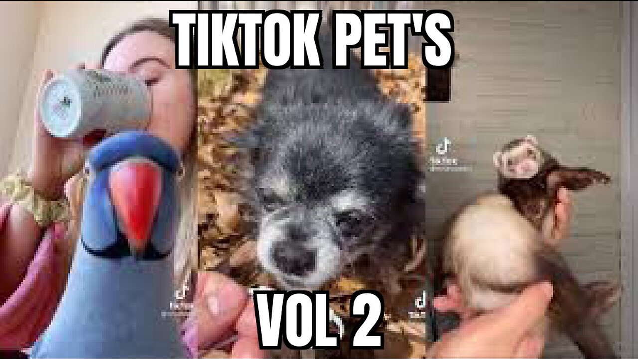 TIKTOK PET'S VOL2