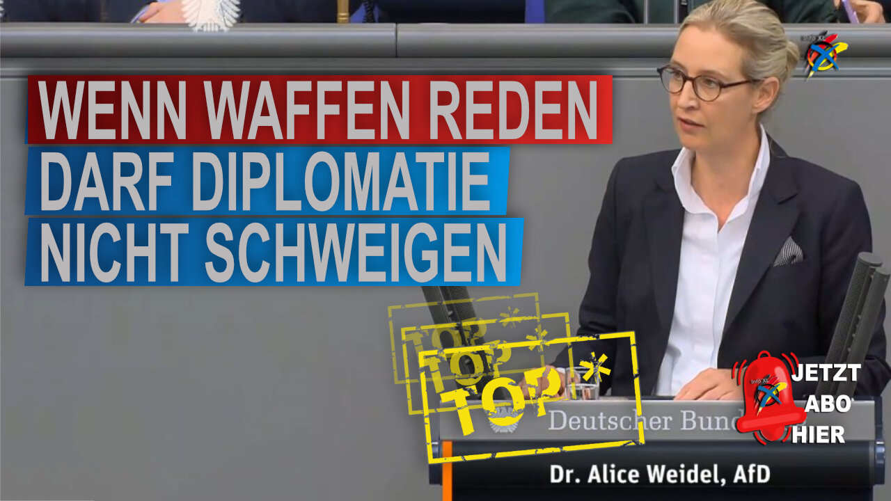 WENN WAFFEN REDEN DARF DIPLOMATIE NICHT SCHWEIGEN Alice Weidel AFD