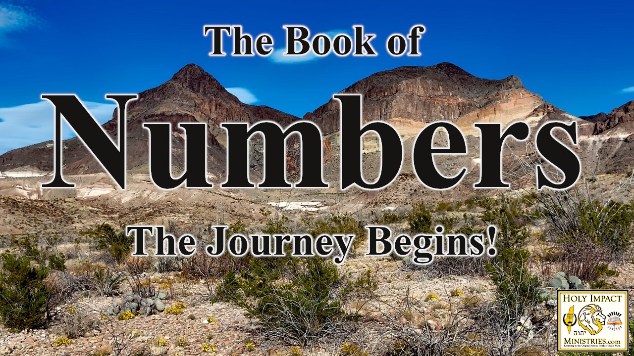 Numbers Chapter 20 Spiritual Discernment!