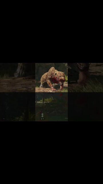 O jaguar que sabia subir em árvores #shorts