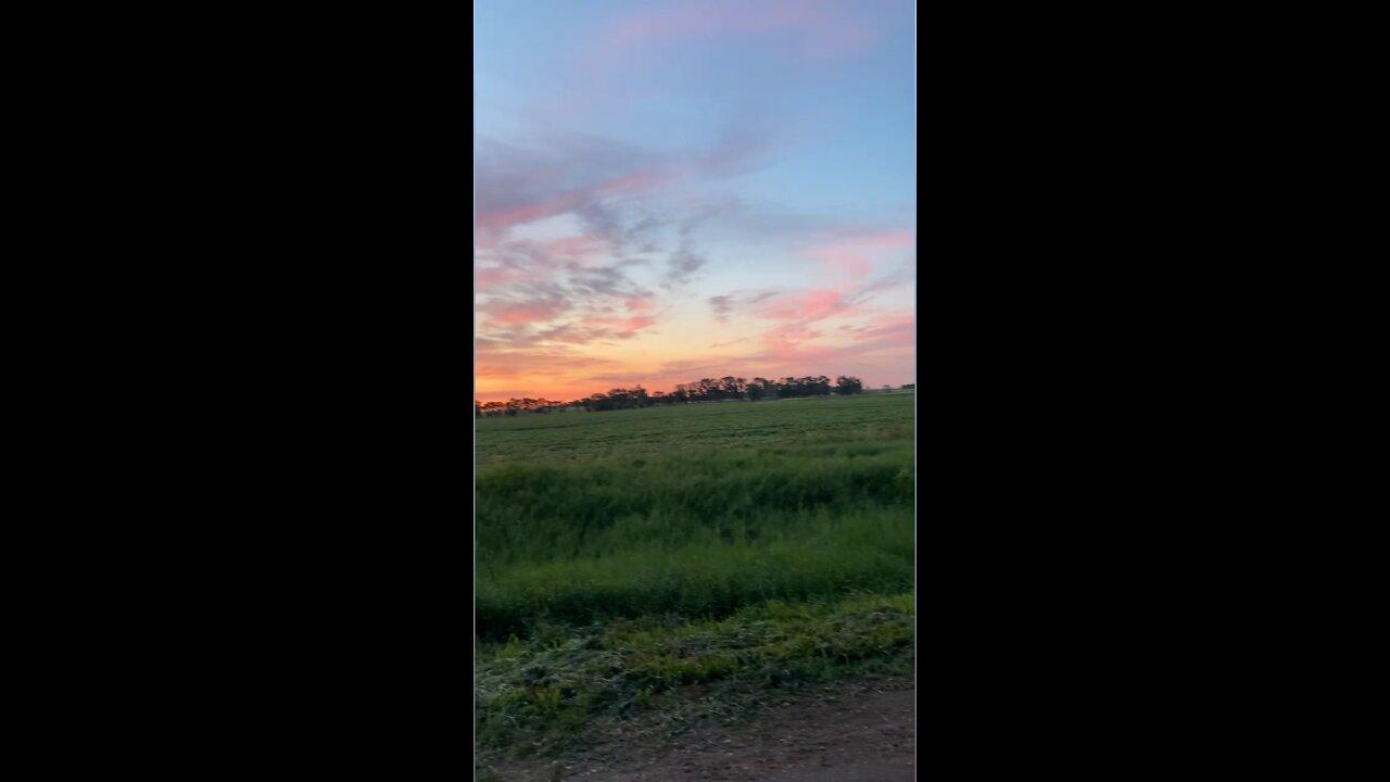 Sunrise Serenade