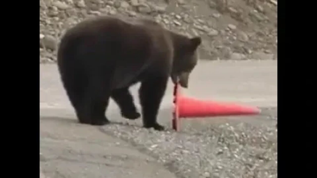 ۲۰ اوت ۲۰۲۲