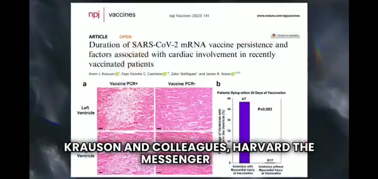 MRNA PHYSICALLY GETS STUCK IN THE HEART