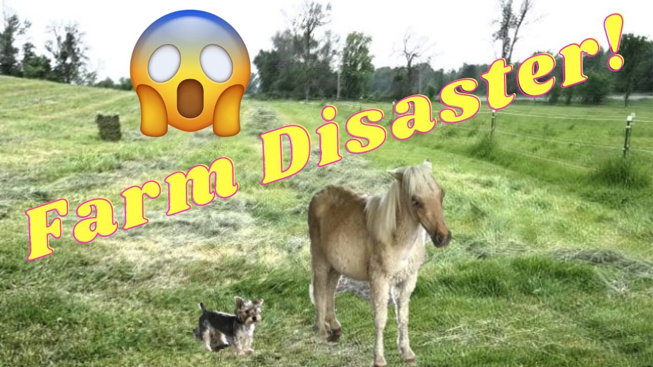 A Farming Disaster Please Pray!