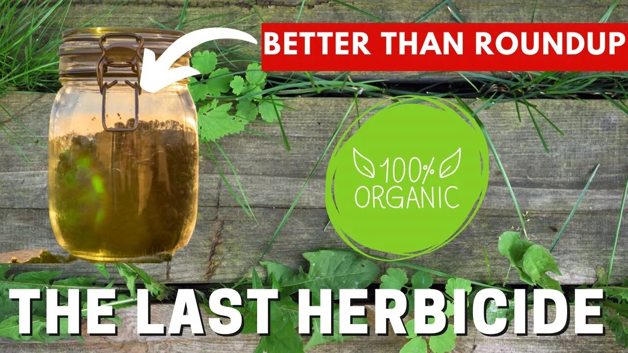 CHEAP Homemade Herbicide That Works. For ONLY 1$ per gallon. WARNING ⚠️ This Will Kill Everything