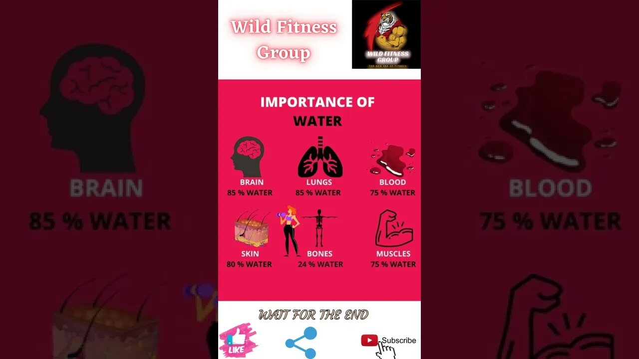 🔥Importance of water🔥#shorts🔥#wildfitnessgroup🔥15 April 2022🔥