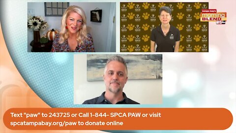 SPCA Tampa Bay Paw it Forward | Morning Blend