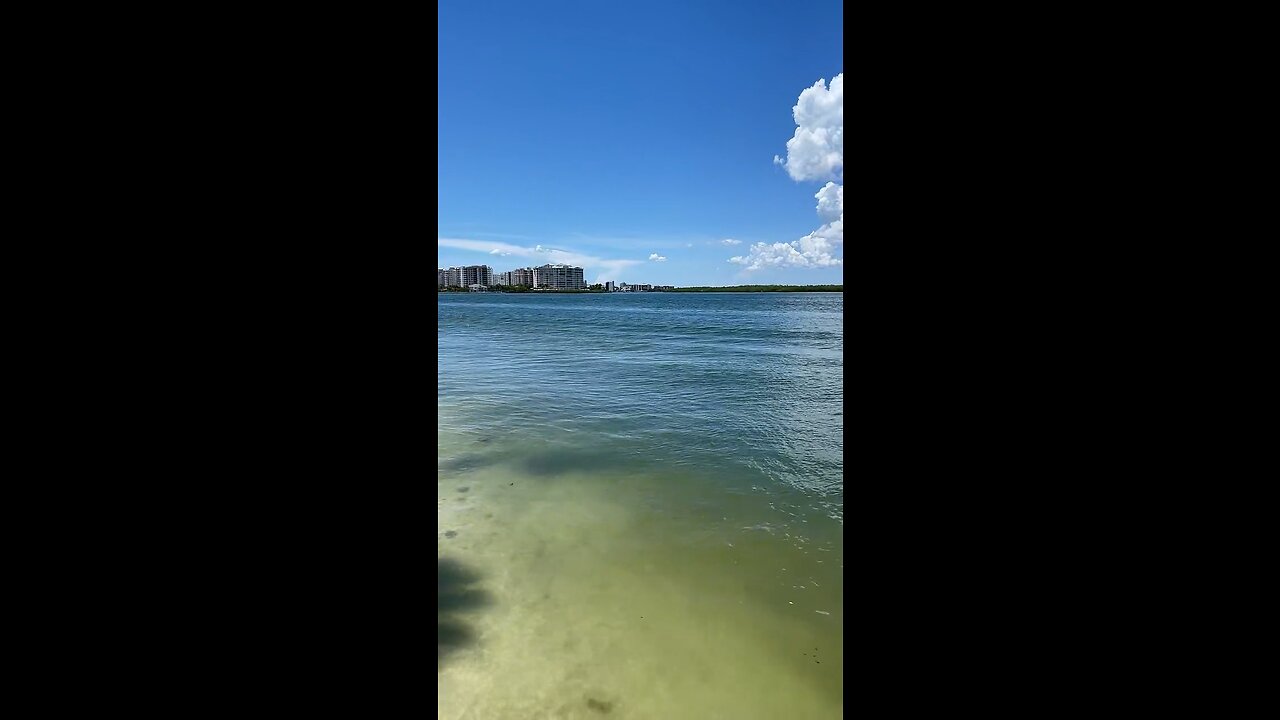 Livestream Clip - Lunch At Flippers On The Bay Lovers Key Resort Part 4