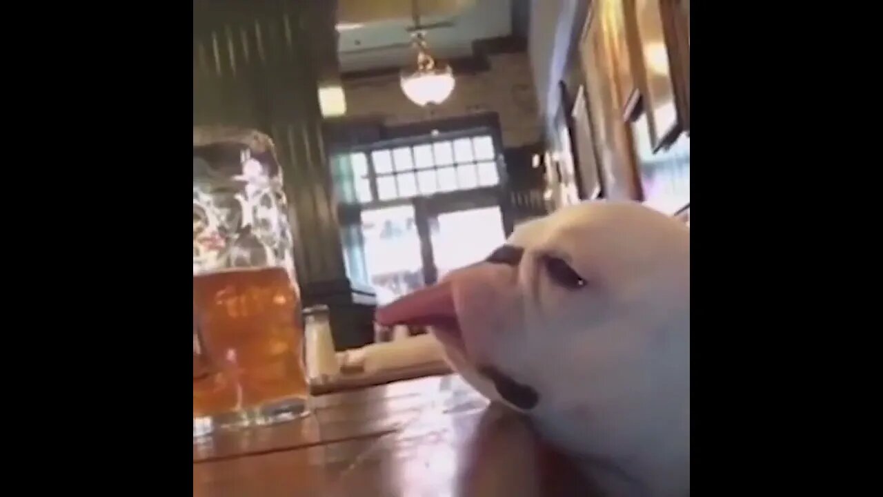 The time is 🍻 o'clock 😂🍻