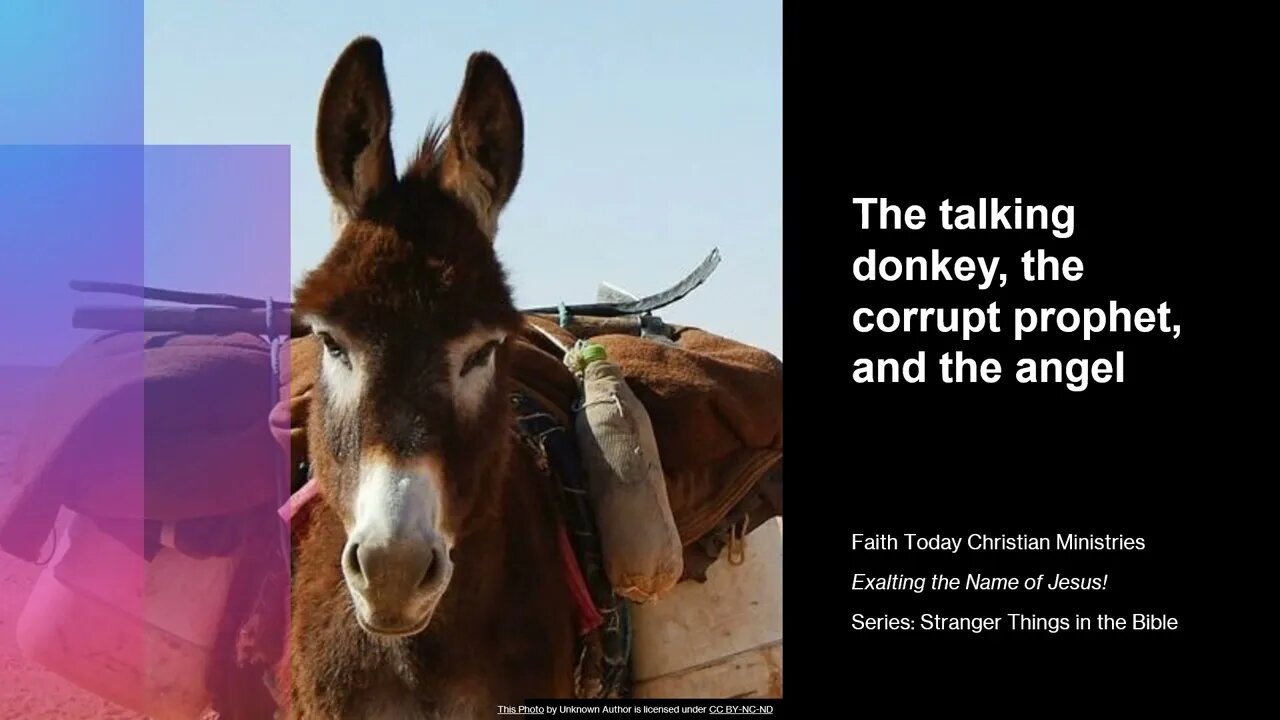 The donkey saw an angel and talked