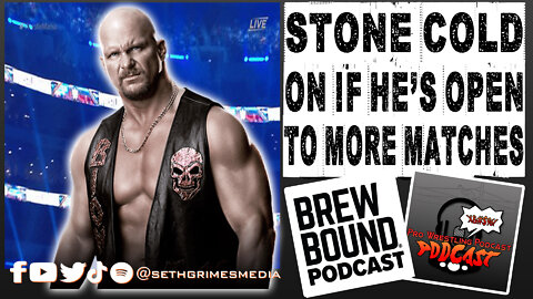 Stone Cold Steve Austin on Another Match? | Clip from the Pro Wrestling Podcast Podcast | #wwe