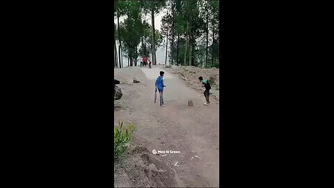 cricket