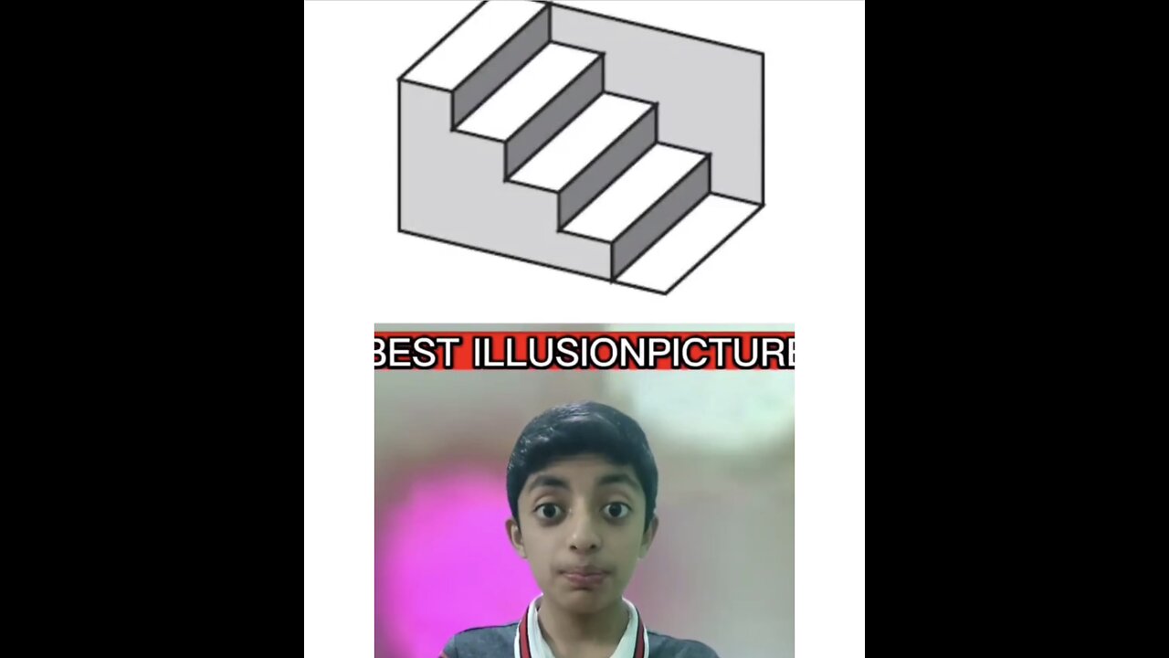 Best illusion picture