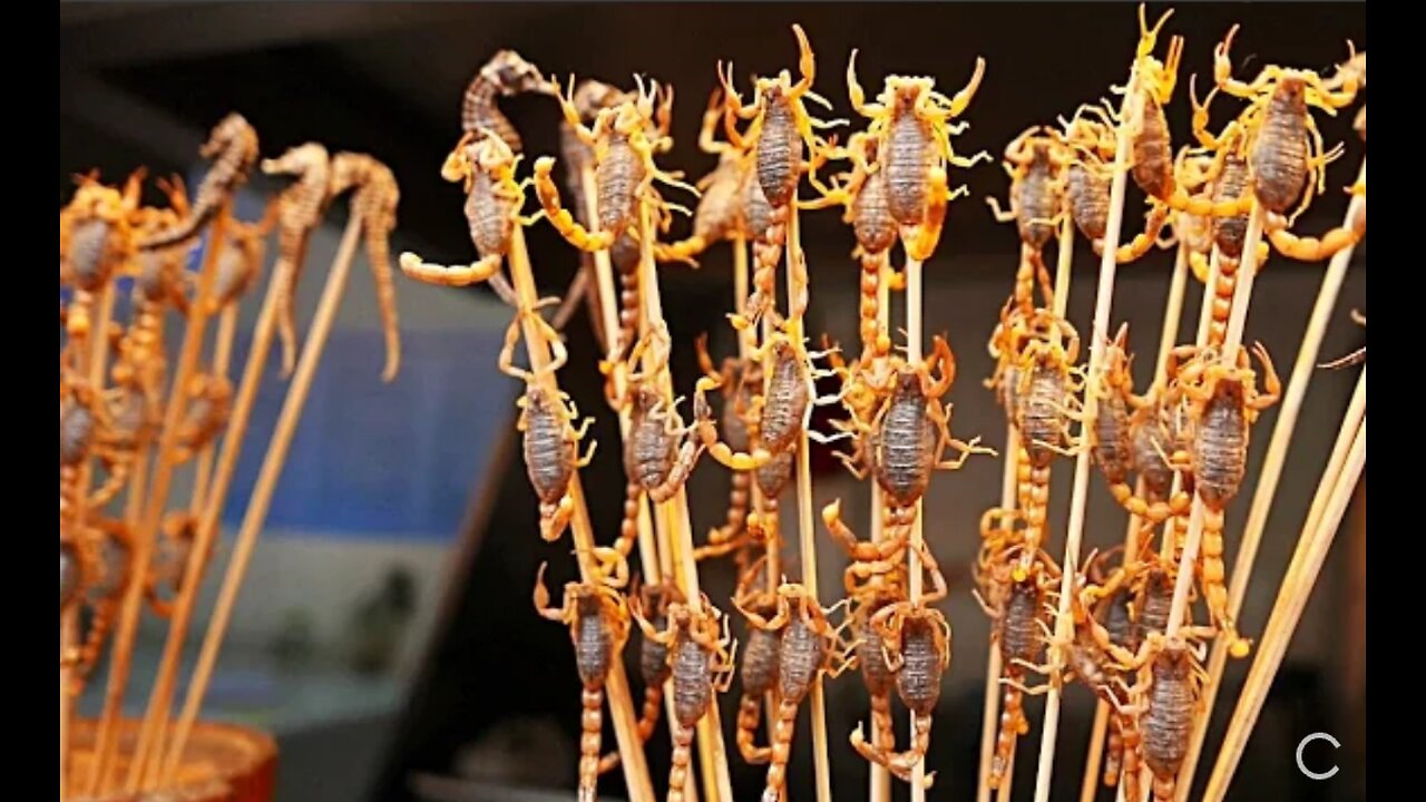 Chinese Street Food - Live Scorpions, Insects, Tiger Claws China